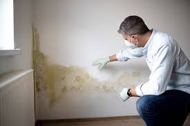 Best Mold Documentation for Insurance Claims  in Boonsboro, MD